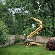 Best Arborist Consultation Services  in Nicholls, GA