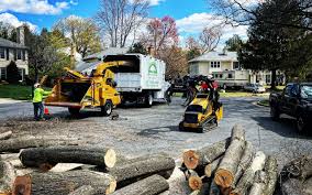 Best Commercial Tree Services  in Nicholls, GA