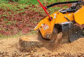 Reliable Nicholls, GA Tree Care Solutions